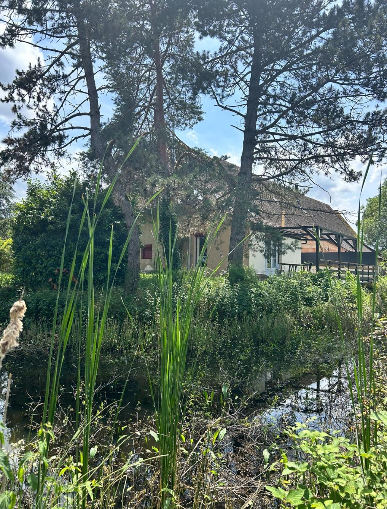 Le Gite Du Chateau Mouton Chatenoy-le-Royal Exteriér fotografie