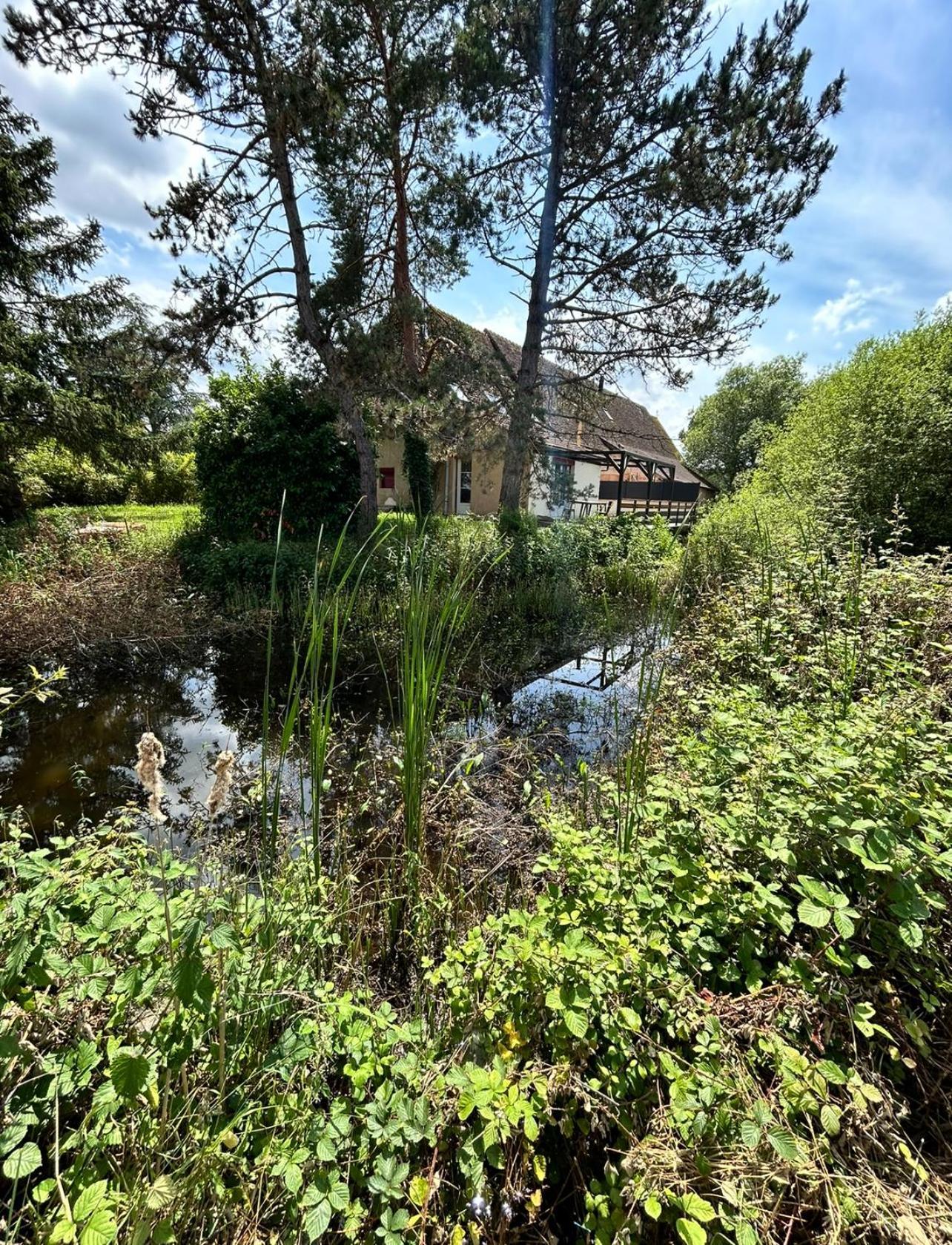 Le Gite Du Chateau Mouton Chatenoy-le-Royal Exteriér fotografie